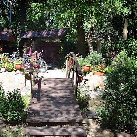 Hotel Veniki-Club Vorzel Zewnętrze zdjęcie