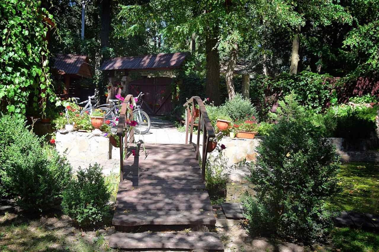 Hotel Veniki-Club Vorzel Zewnętrze zdjęcie