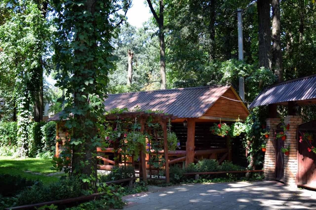Hotel Veniki-Club Vorzel Zewnętrze zdjęcie