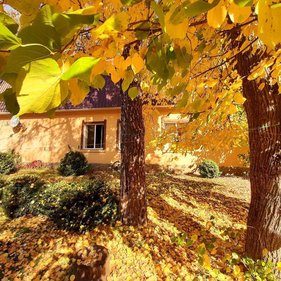 Hotel Veniki-Club Vorzel Zewnętrze zdjęcie
