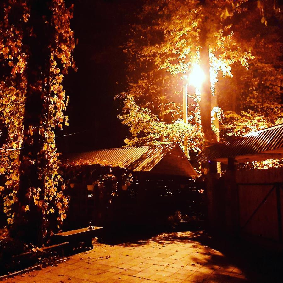 Hotel Veniki-Club Vorzel Zewnętrze zdjęcie